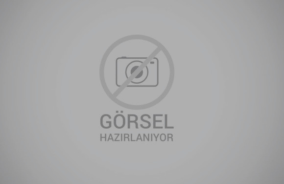 Ürünler Kategorisi ürünü 1